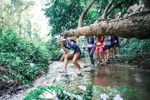 BIB: 
                            <button type="button" onclick="openModal(25467009)" class="btn btn-primary btn-sm float-right btn-popup" data-toggle="modal" data-target=".modal-high-quality">
                        <i class="fas fa-shopping-cart"></i> Add to Cart
                    </button>
                                            <button type="button" onclick="isThisMe(25467009, true)" class="btn btn-success btn-sm float-right btn-popup btn-isme hidden" data-toggle="tooltip" data-placement="bottom" title="นี่คือรูปของคุณใช่ไหม คลิกที่นี่เพื่อเอาเข้าอัลบั้ม">
                        <i class="fas fa-plus"></i> Add to album
                    </button>
                    <button type="button" onclick="isThisMe(25467009, false)" class="btn btn-warning btn-sm float-right btn-popup btn-isnotme hidden">
                        <i class="fas fa-ban"></i> Remove from album
                    </button>